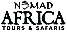 New Nomad Logo-01_1754637527